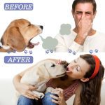 Dog Teeth Cleaning