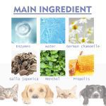 Dog Teeth Cleaning