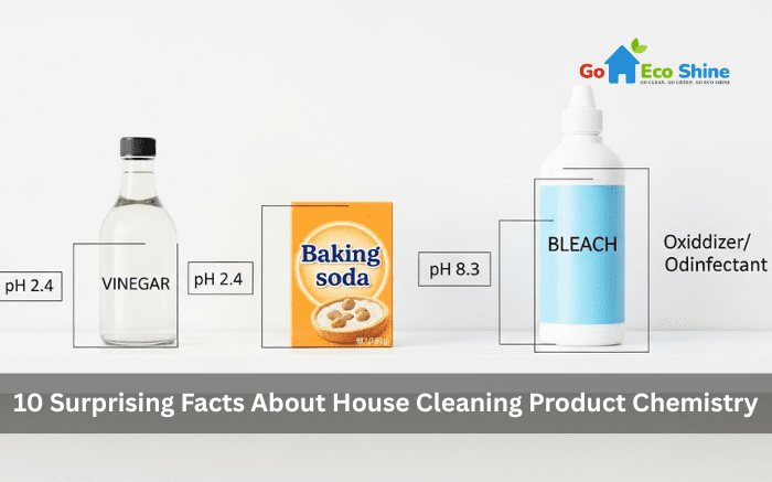 10 Surprising Facts About House Cleaning Products Chemistry