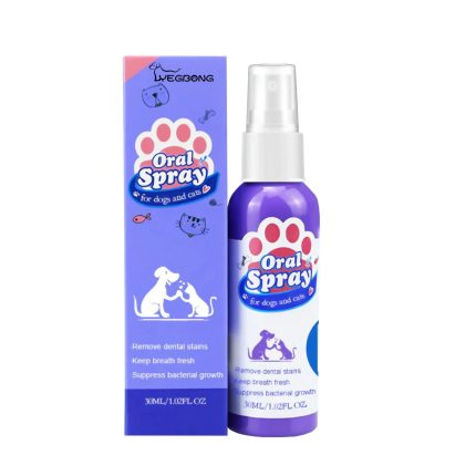 Dog Teeth Cleaning