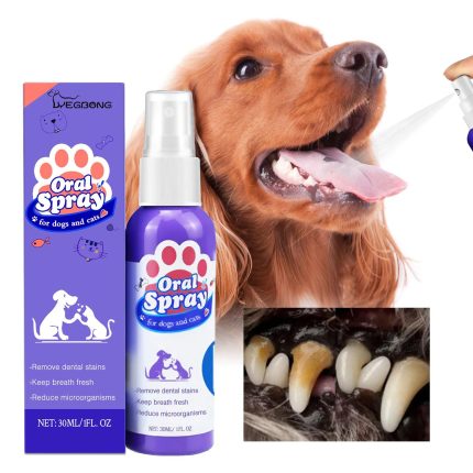 Dog Teeth Cleaning