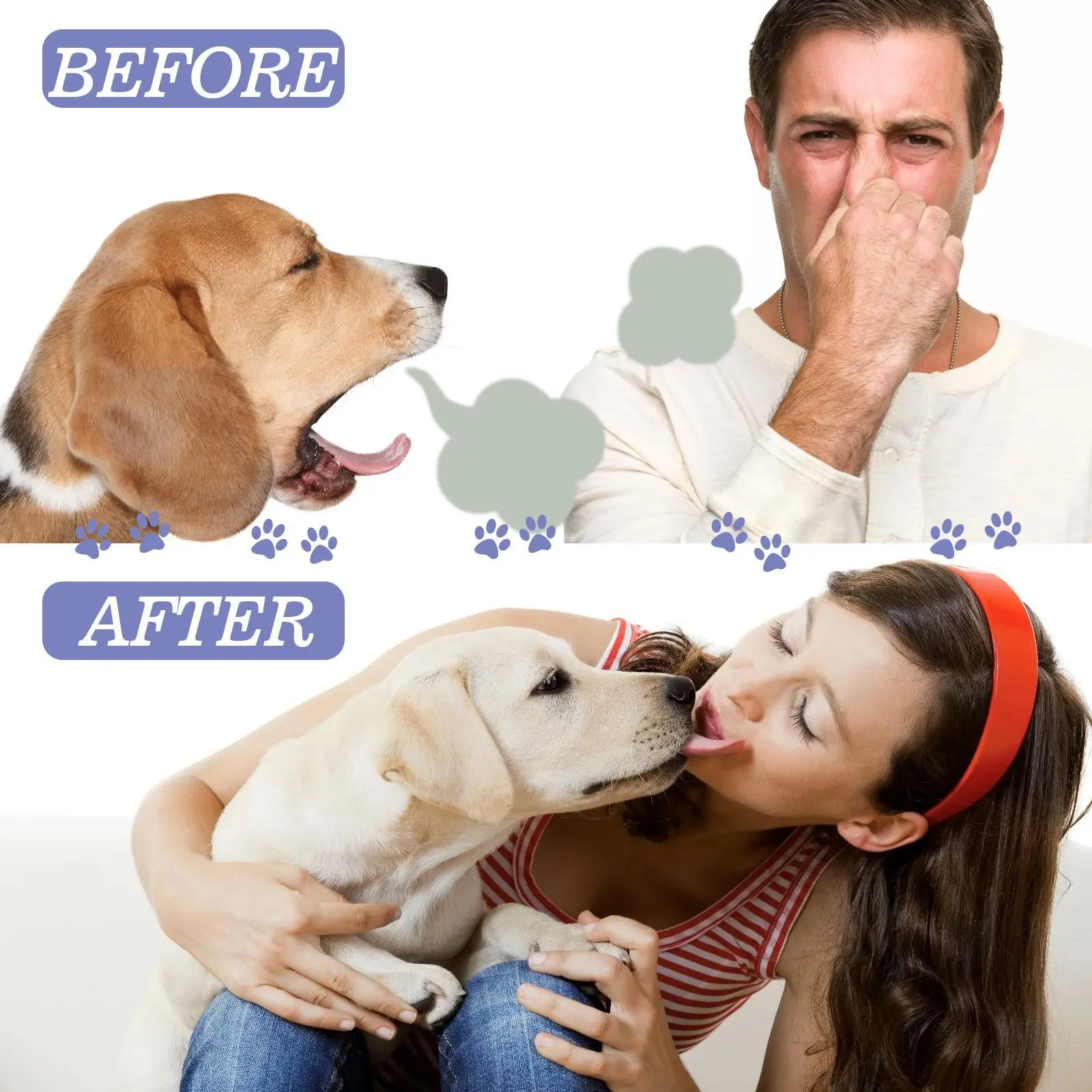 Dog Teeth Cleaning