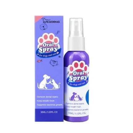 Dog Teeth Cleaning