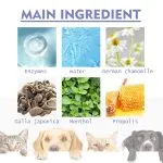 Dog Teeth Cleaning