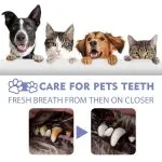 Dog Teeth Cleaning